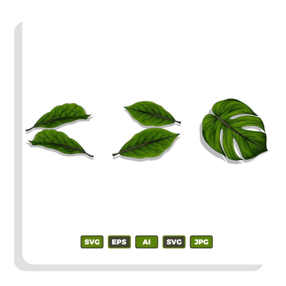 illustration of leaf vector