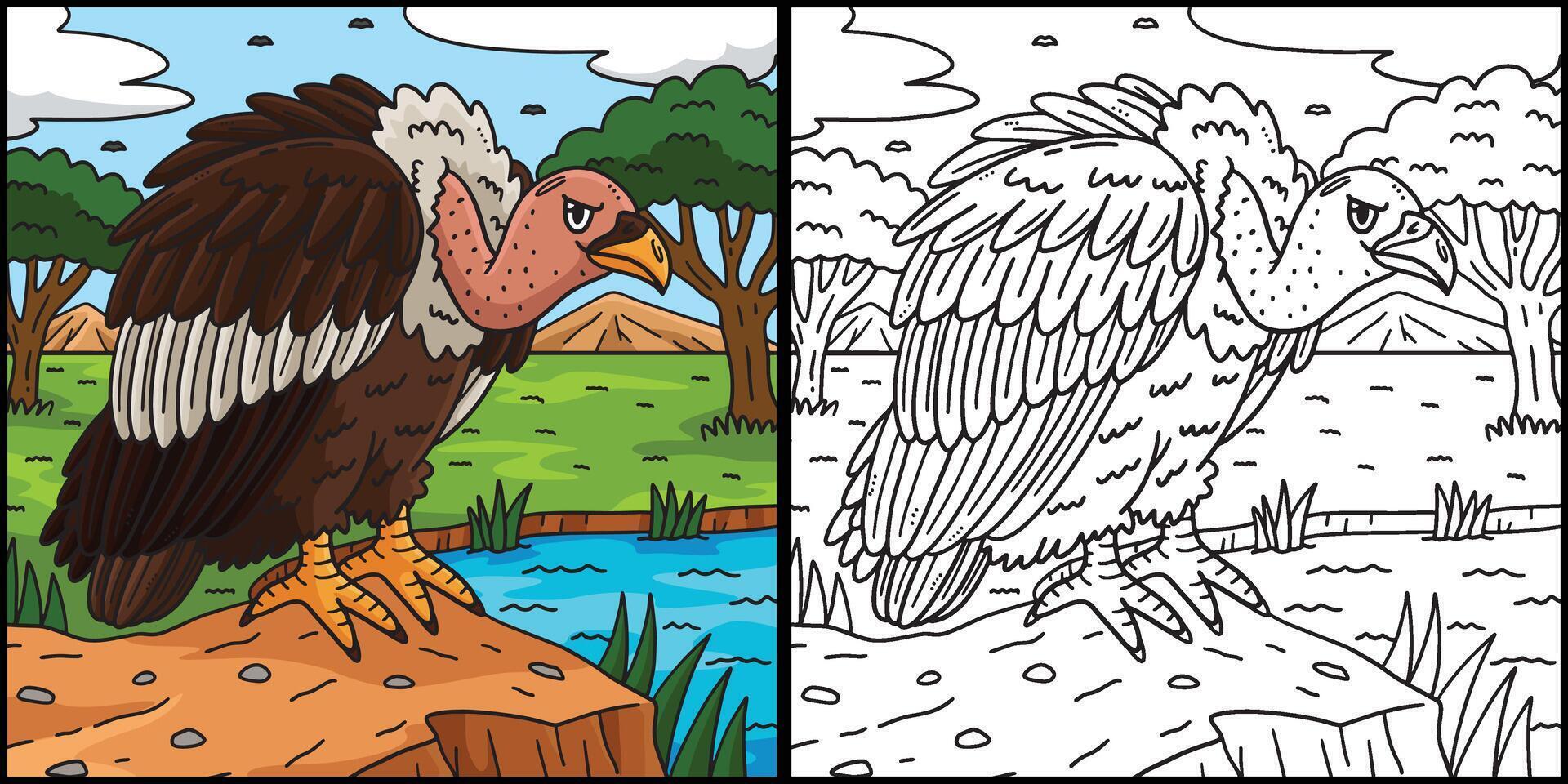 Vulture Bird Coloring Page Colored Illustration vector