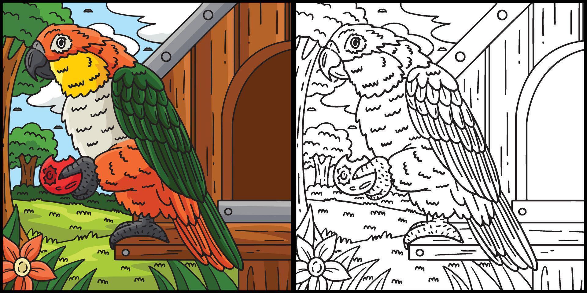 Cacique Bird Coloring Page Colored Illustration vector