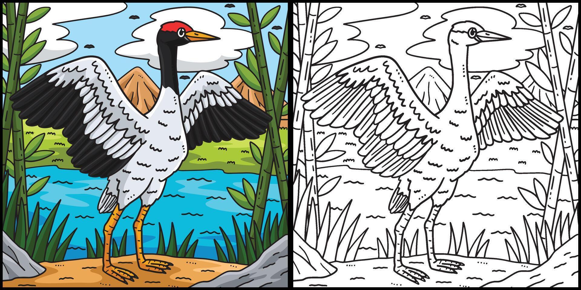 Crane Bird Coloring Page Colored Illustration vector