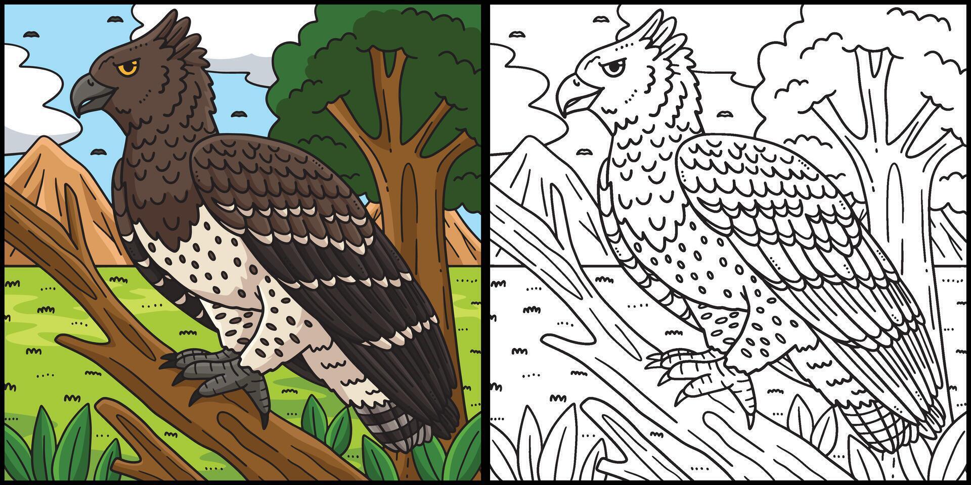 Martial Eagle Bird Coloring Page Illustration vector