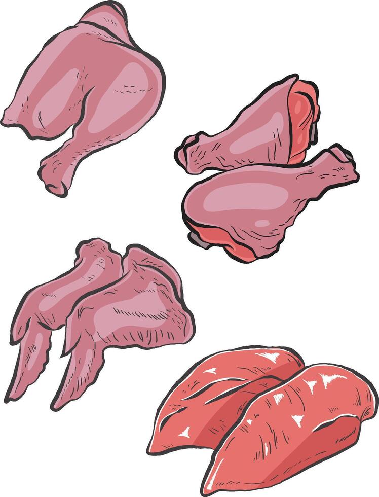 Part of chicken vector