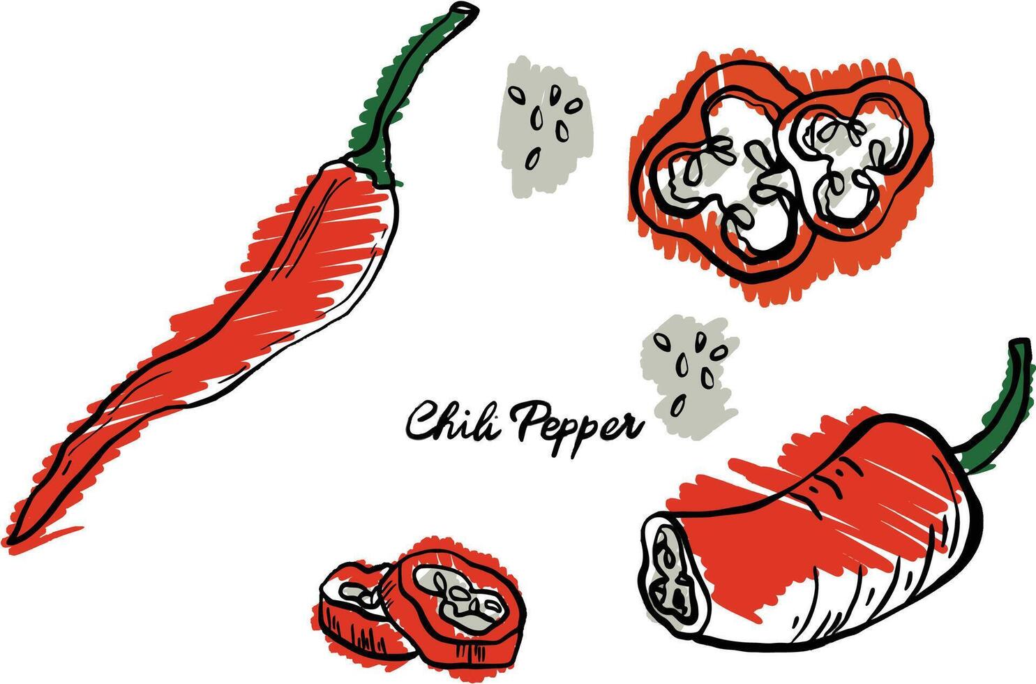 the red chilli vector