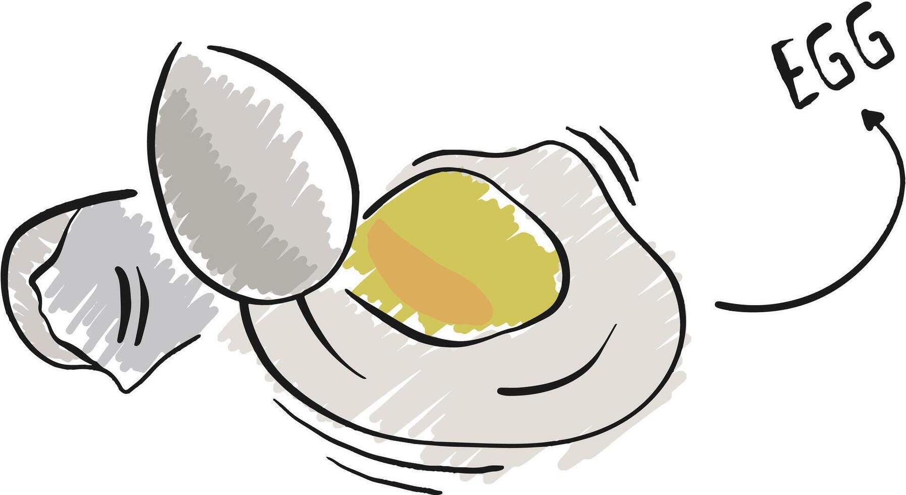 the egg yolk vector