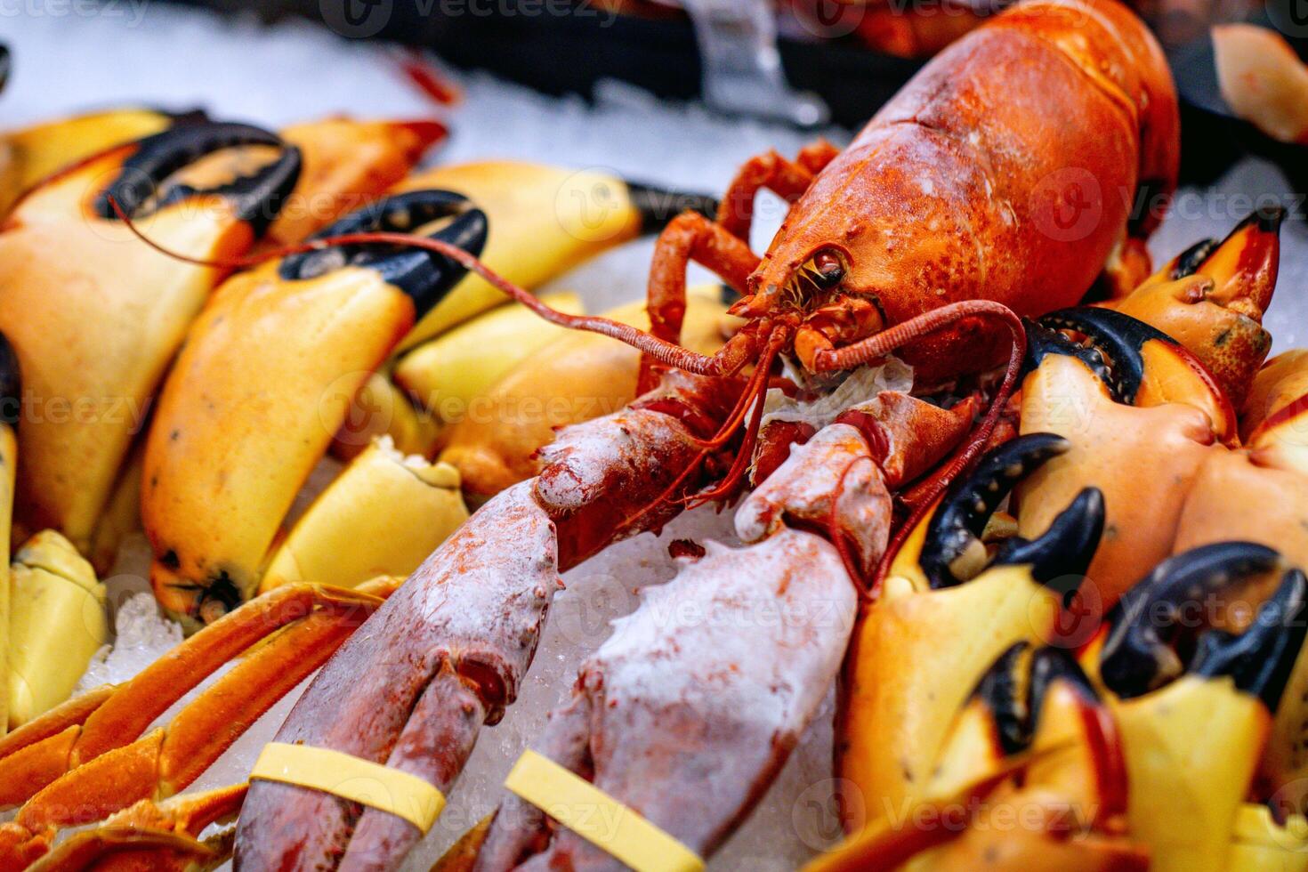 Hardshell Seafood on Ice photo