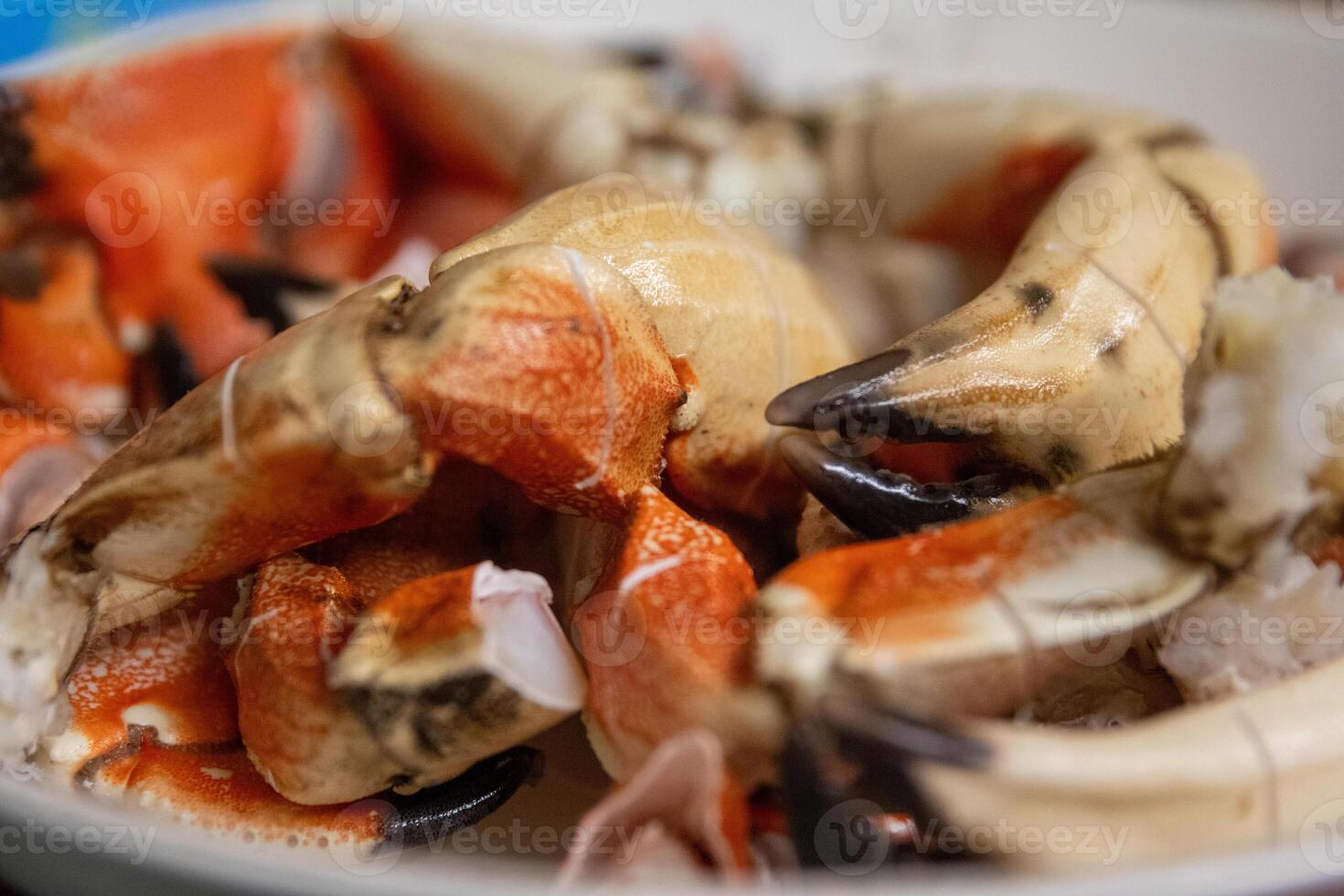 Bunch of Stone Crab Claws photo