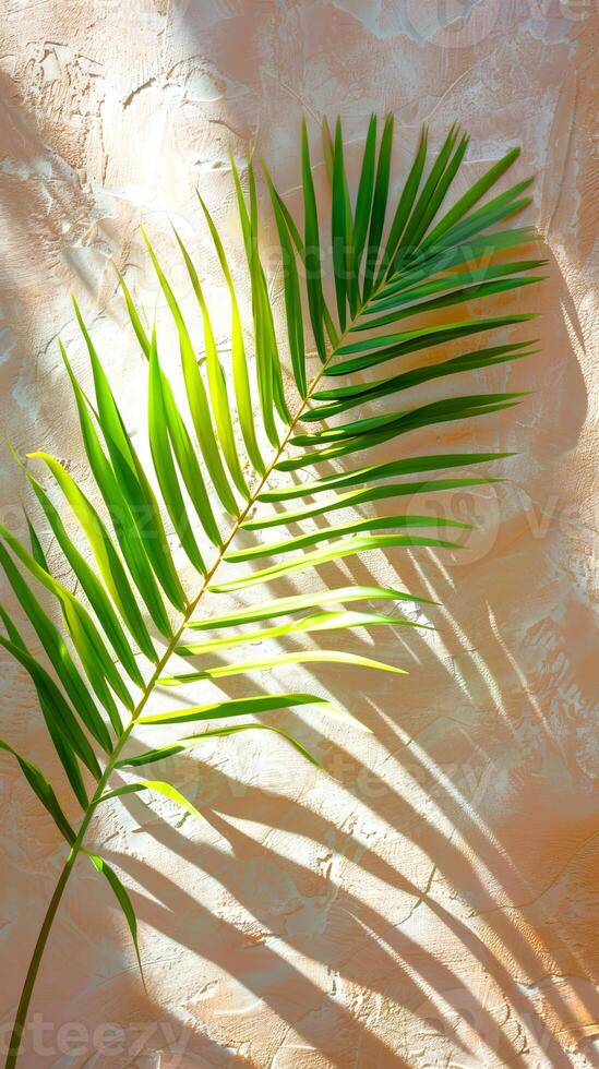 Palm leaf casting a shadow on a textured light wall. Tropical plant against soft backdrop. Bright summer tropical wallpaper. Concept of nature, simplicity. Mockup for design. Copy space. Vertical photo