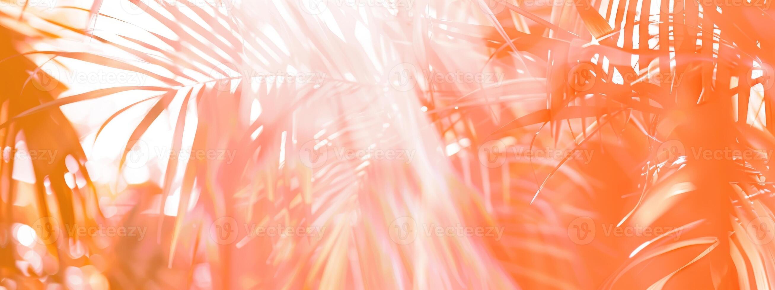 Abstract orange palm leaves with vibrant glow. Intense light diffusing through tropical foliage. Concept of abstract nature. Trendy botanical wallpaper. Wide banner. Copy space. Mockup for design photo