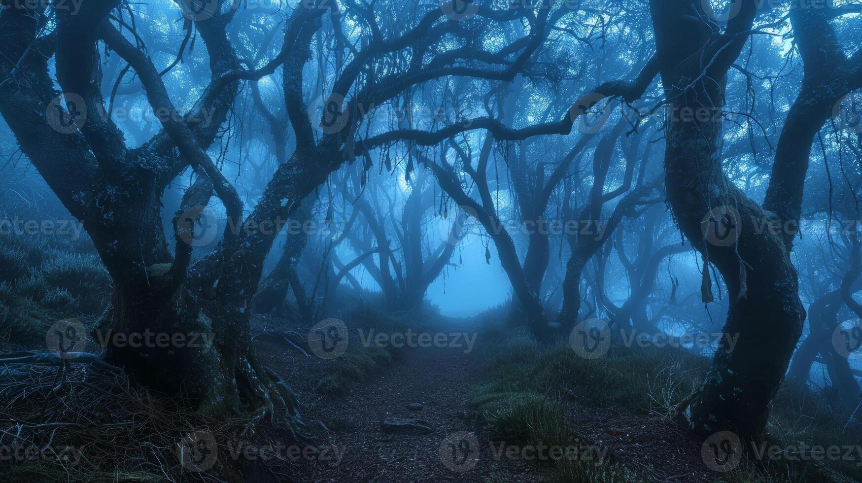 Mystical forest with foggy path. Concept of nature, atmosphere, mystery, Halloween night, and wilderness photo