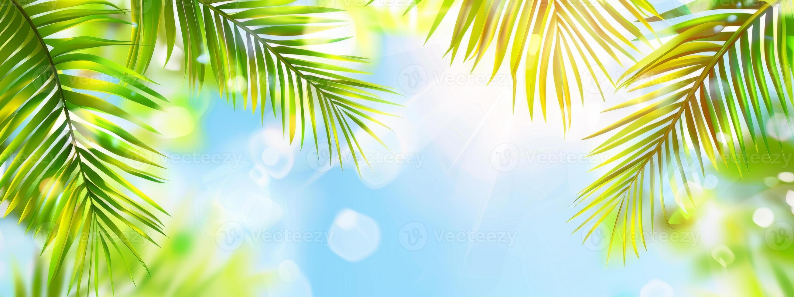 Bright summer tropical backdrop with green pastel palm leaves and bokeh effects. Trendy botanical wallpaper with soft colors. Wide banner. Copy space. Mockup for design photo