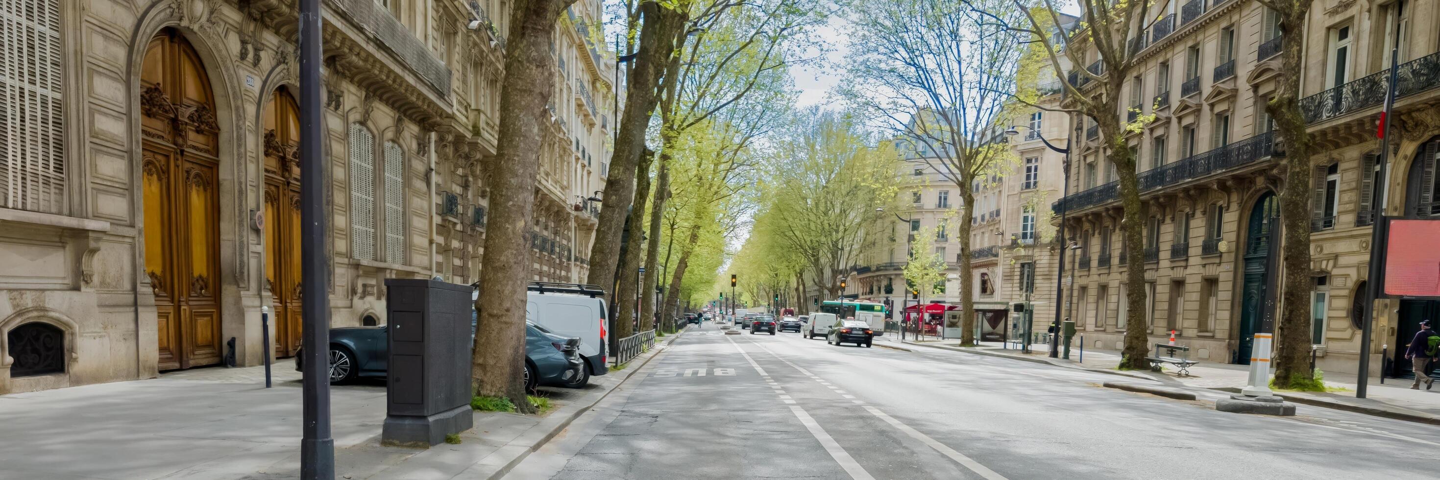 Serene spring day on a European city street lined with budding trees and historic architecture, embodying urban renewal and Earth Day concepts 15 april 2024, Paris, France photo