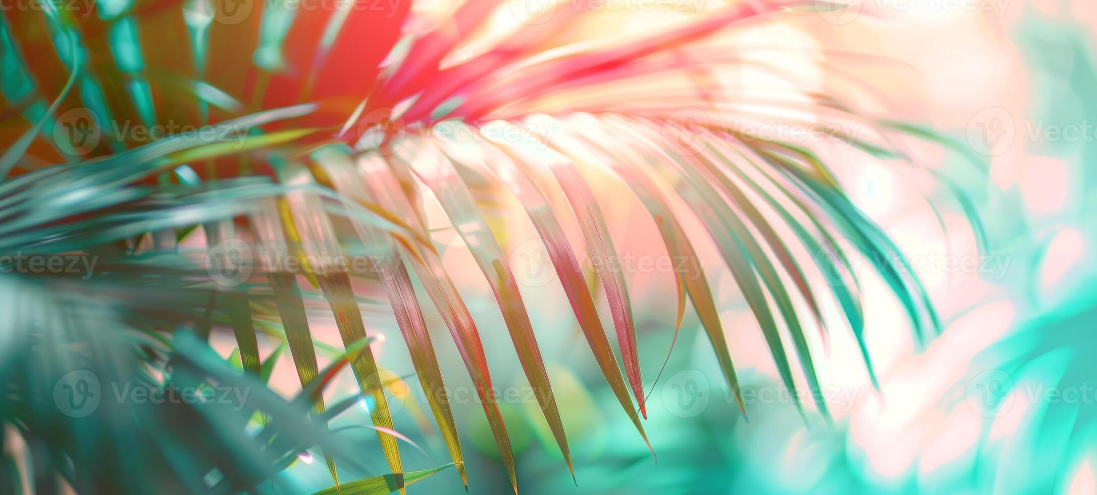 Bright summer tropical backdrop with colorful palm leaves and bokeh effect. Trendy botanical wallpaper with soft colors. Festive mood. Summer vibes. Banner. Copy space. Mockup for design photo
