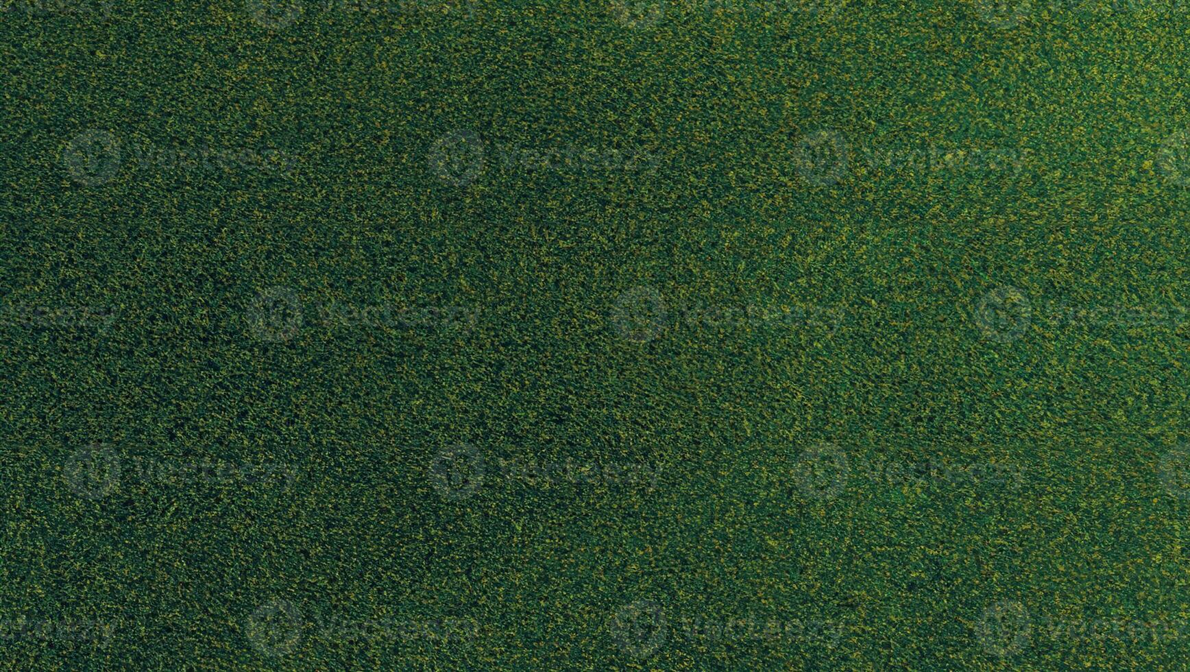Luxurious Green Natural Carpet Texture, Ideal for Brochures, Invitations, Ads, and Web Templates photo