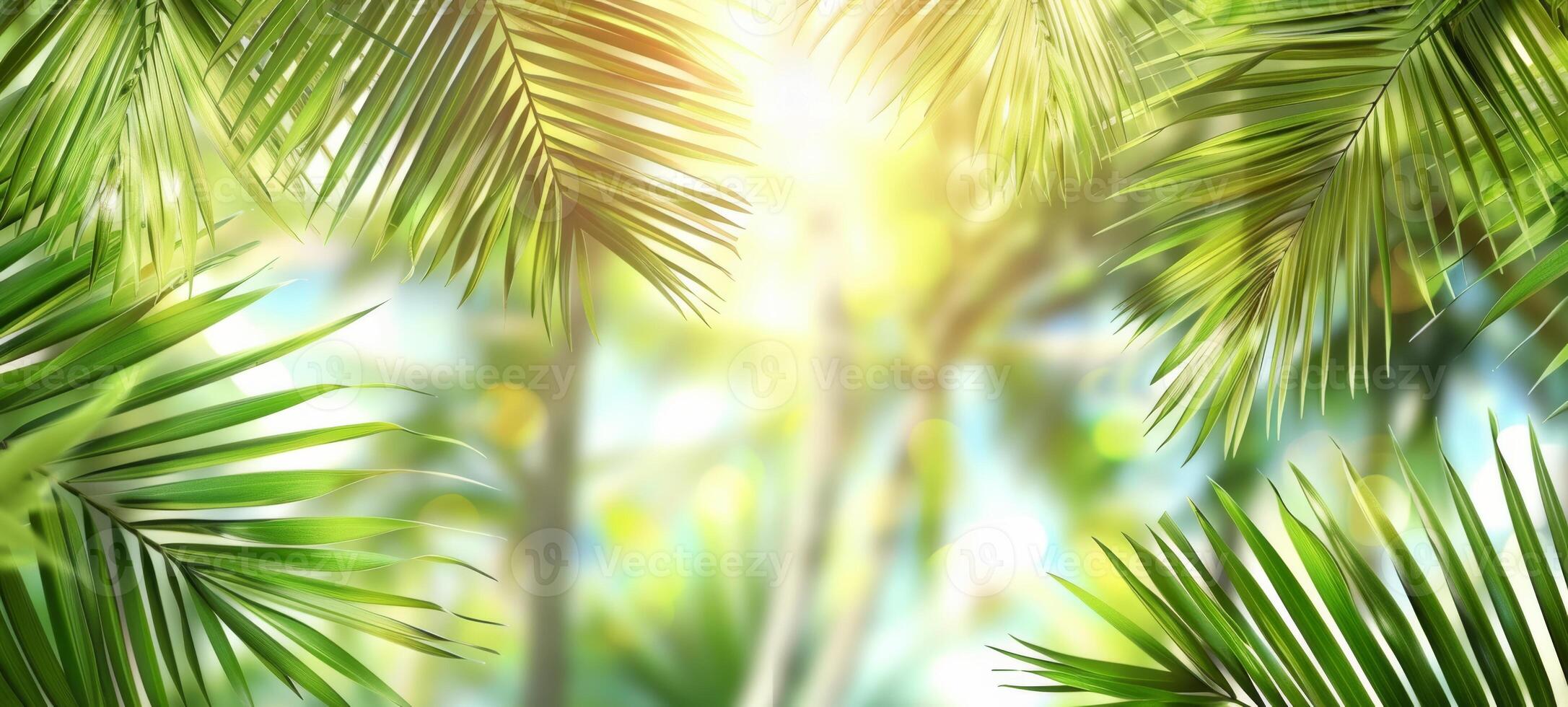 Bright summer tropical backdrop with green pastel palm leaves and bokeh effects. Trendy botanical wallpaper with soft colors. Wide banner. Copy space. Mockup for design. Sunny photo