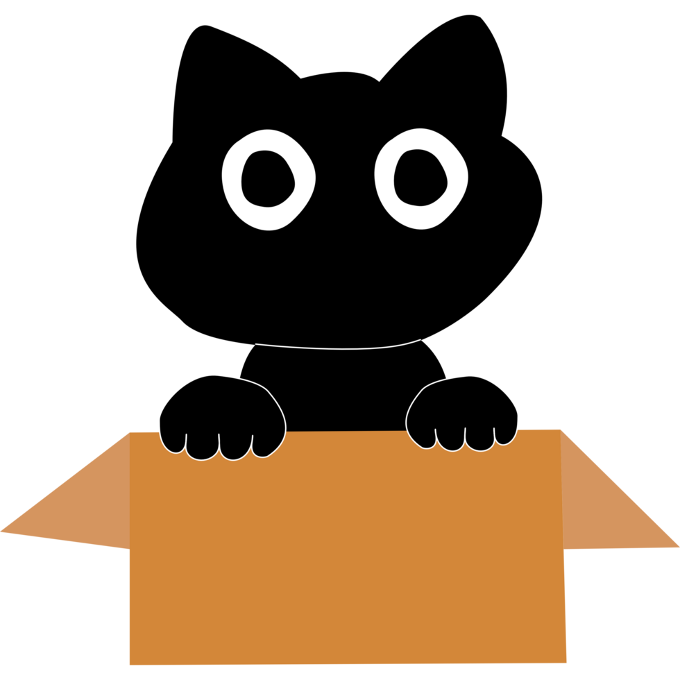 Cute black cat in cardboard box. Cat is looking out of a box. png