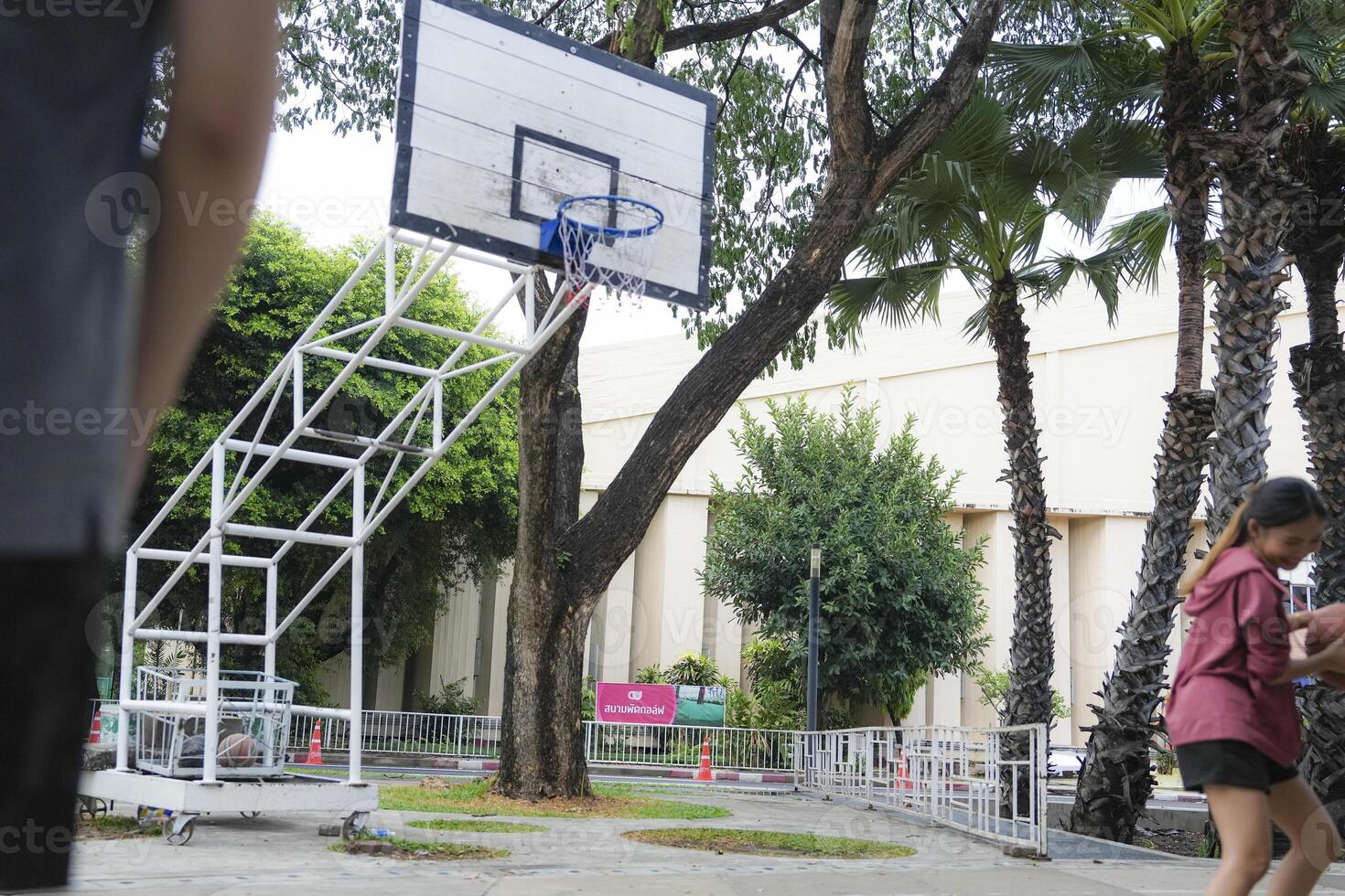 The male and female basketball players practice using the ball in the park court diligently and happily. photo