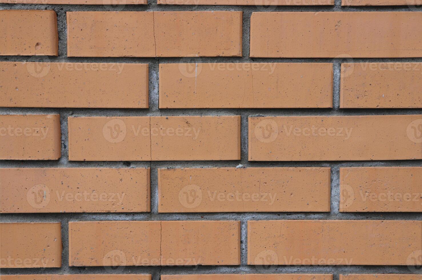 Bricks wall texture. Urban street wall. photo
