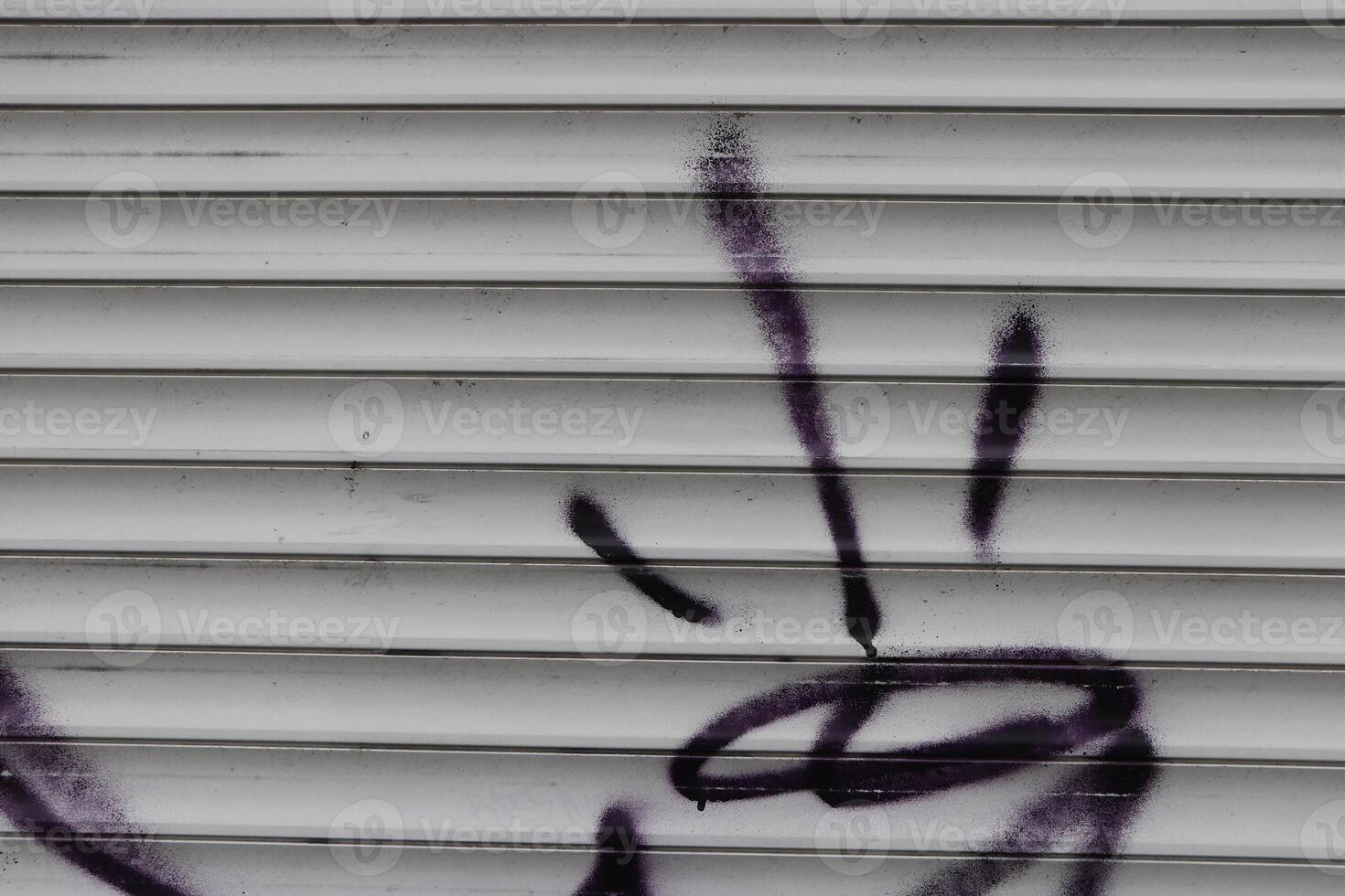 Graffiti Wall Tag. Painted Corrugated Steel Wall photo