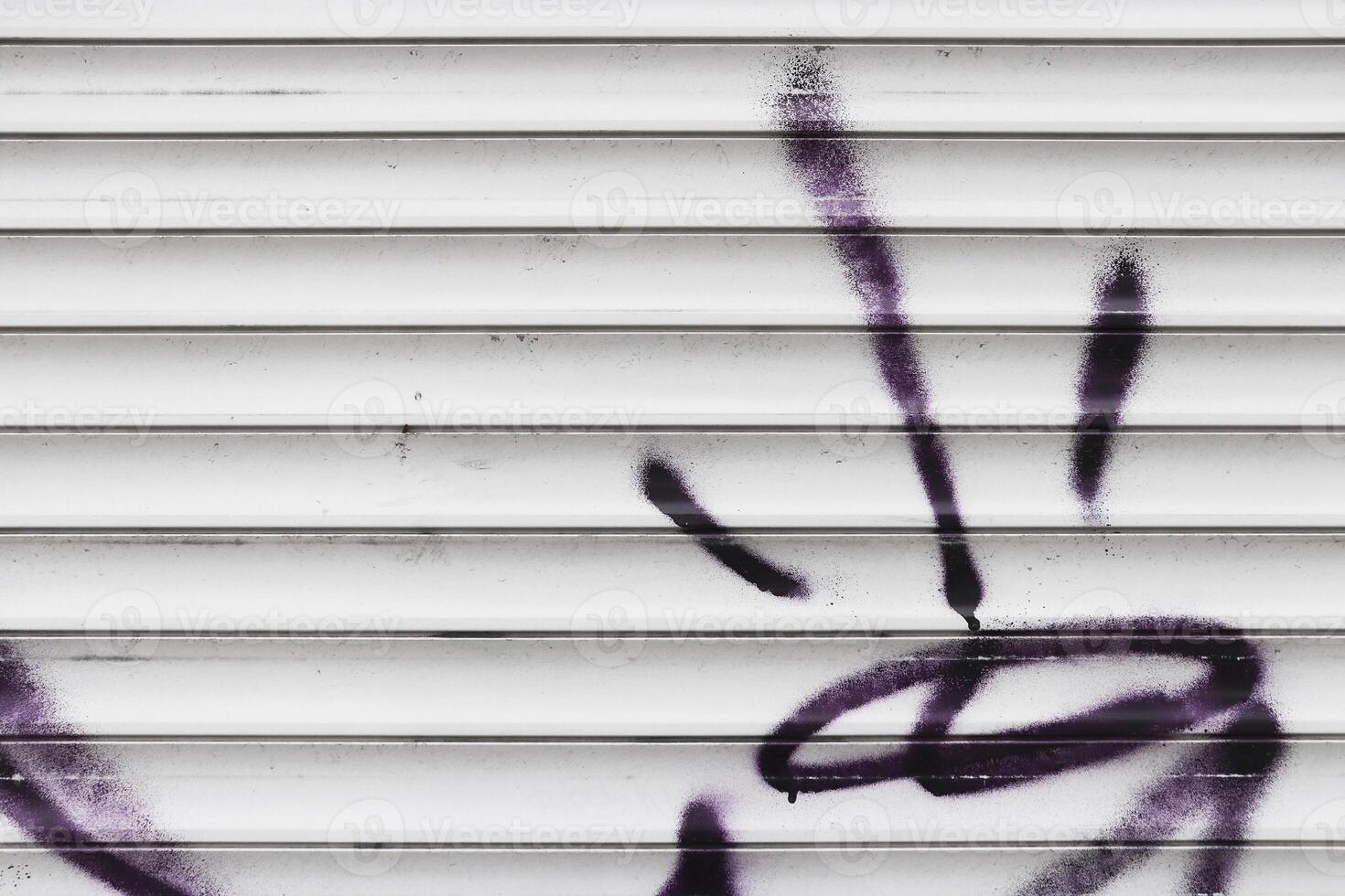 Graffiti Wall Tag. Painted Corrugated Steel Wall photo