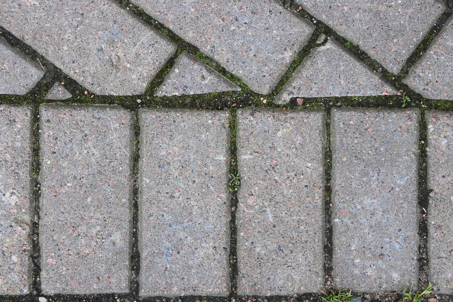 Paving Stone Texture. Walkway Bricks Pattern Structure photo