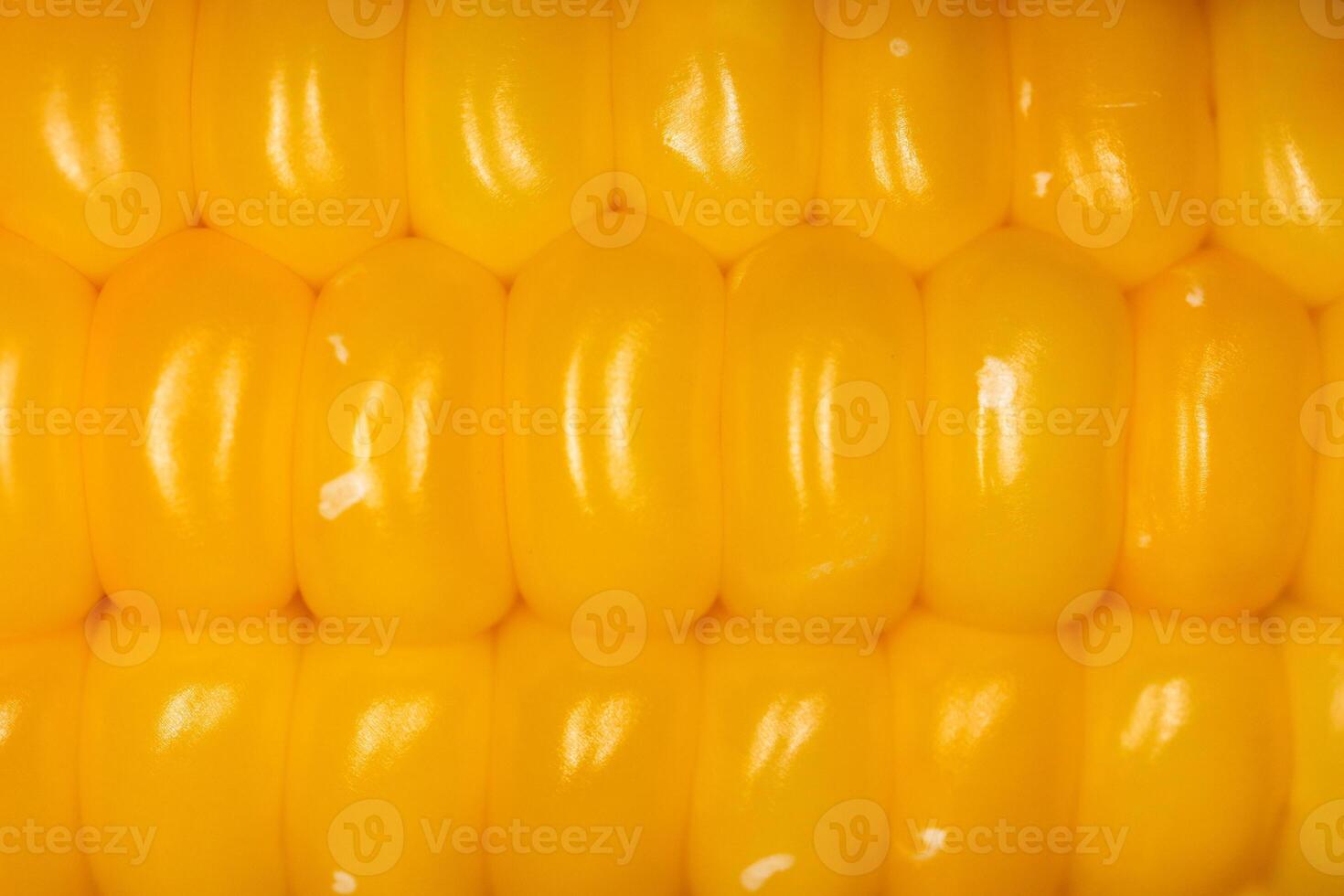 Macro corn kernels closeup texture. Freshness yummy background. photo