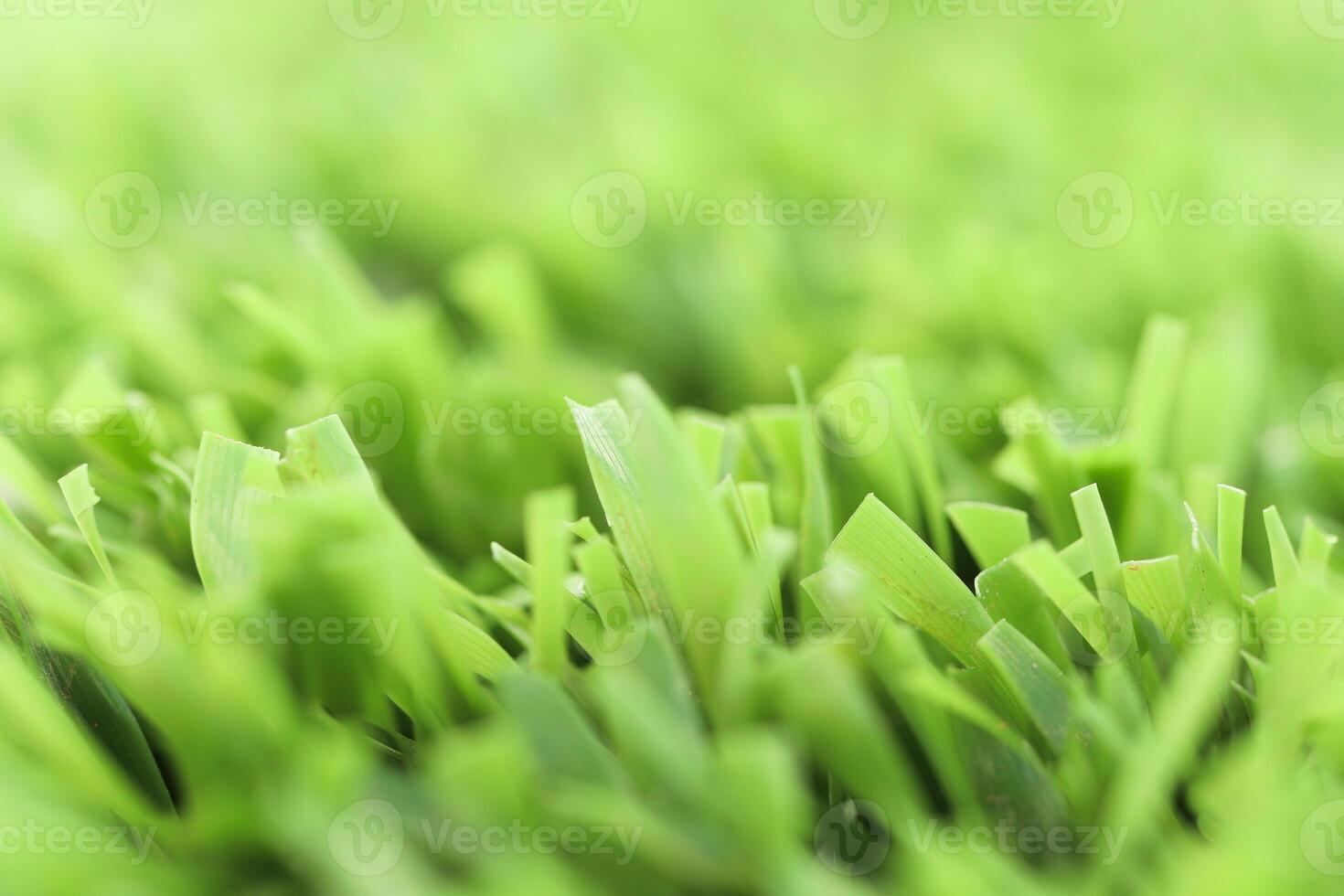 Green artificial grass texture with blurred background. Modern s photo