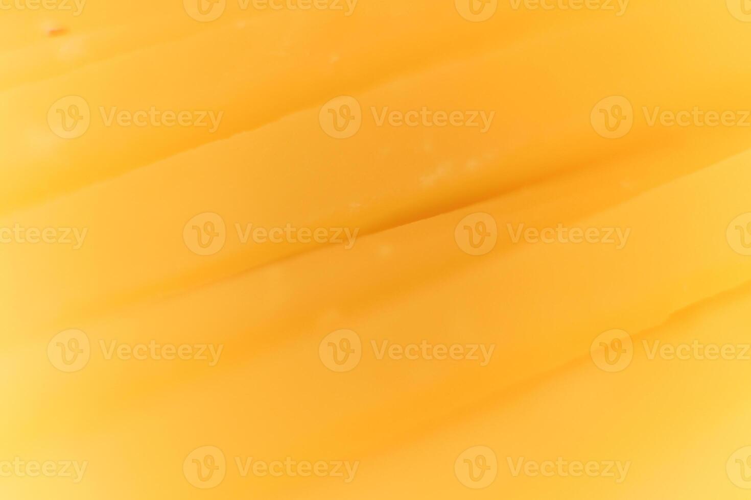 Solid cheese slices macro closeup. Background Texture. photo