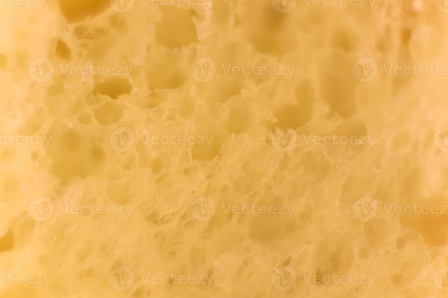 Pulp of bread macro closeup. Texture background. photo