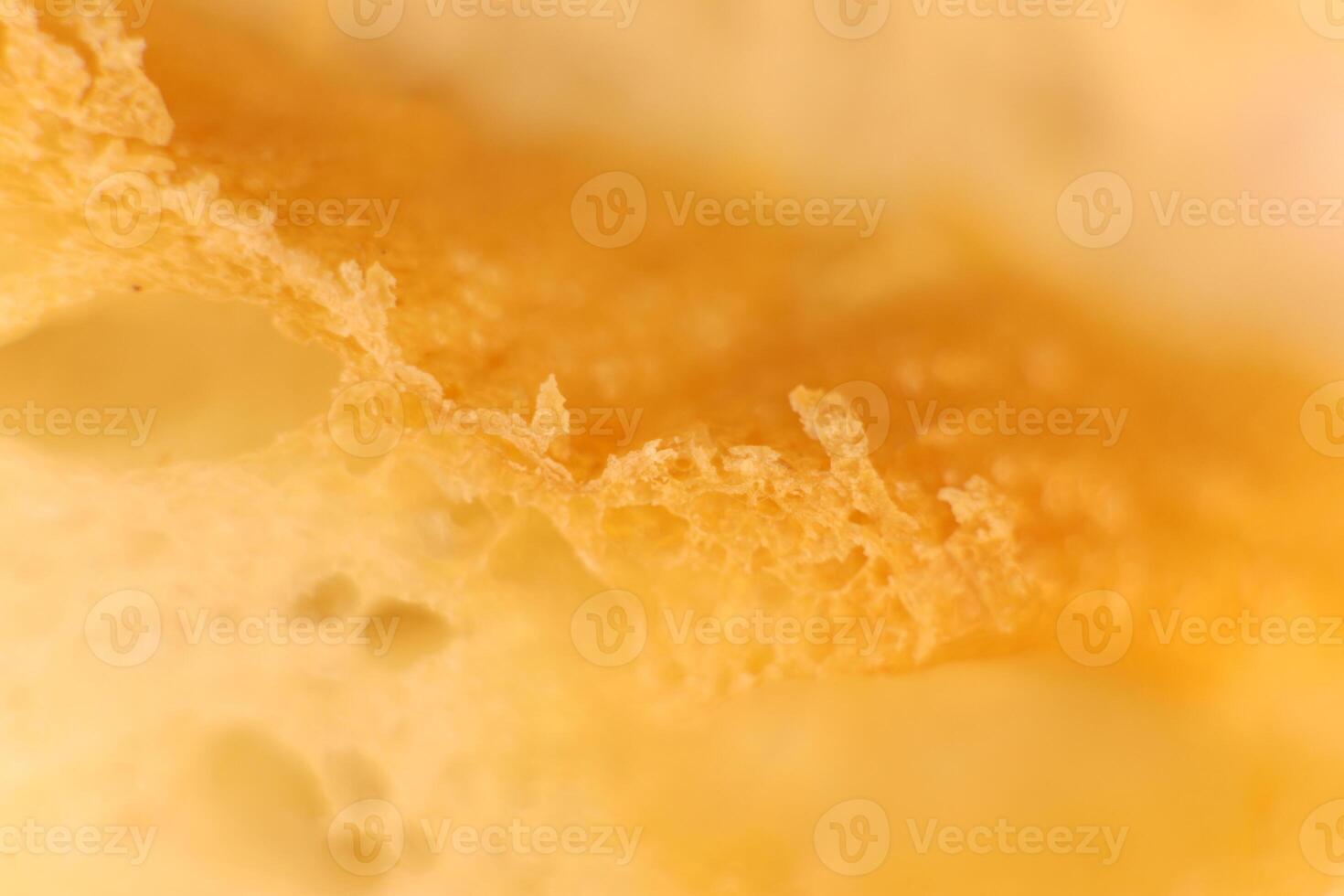 Pulp of bread macro closeup. Texture background. Slice section. photo