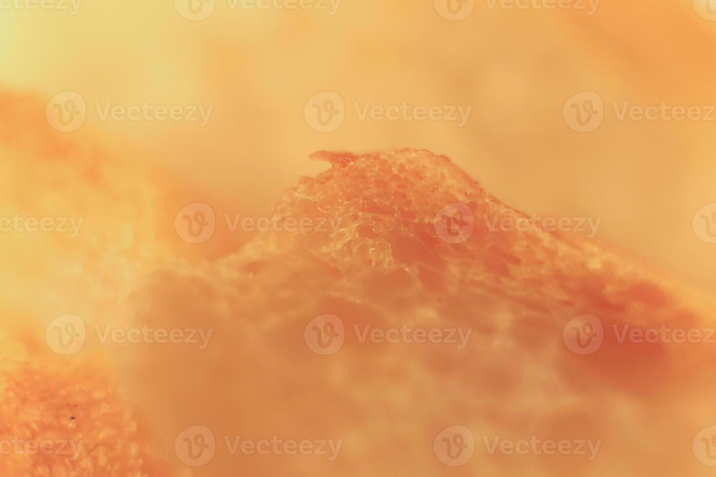 Pulp of bread macro closeup. Texture background. Slice section. photo