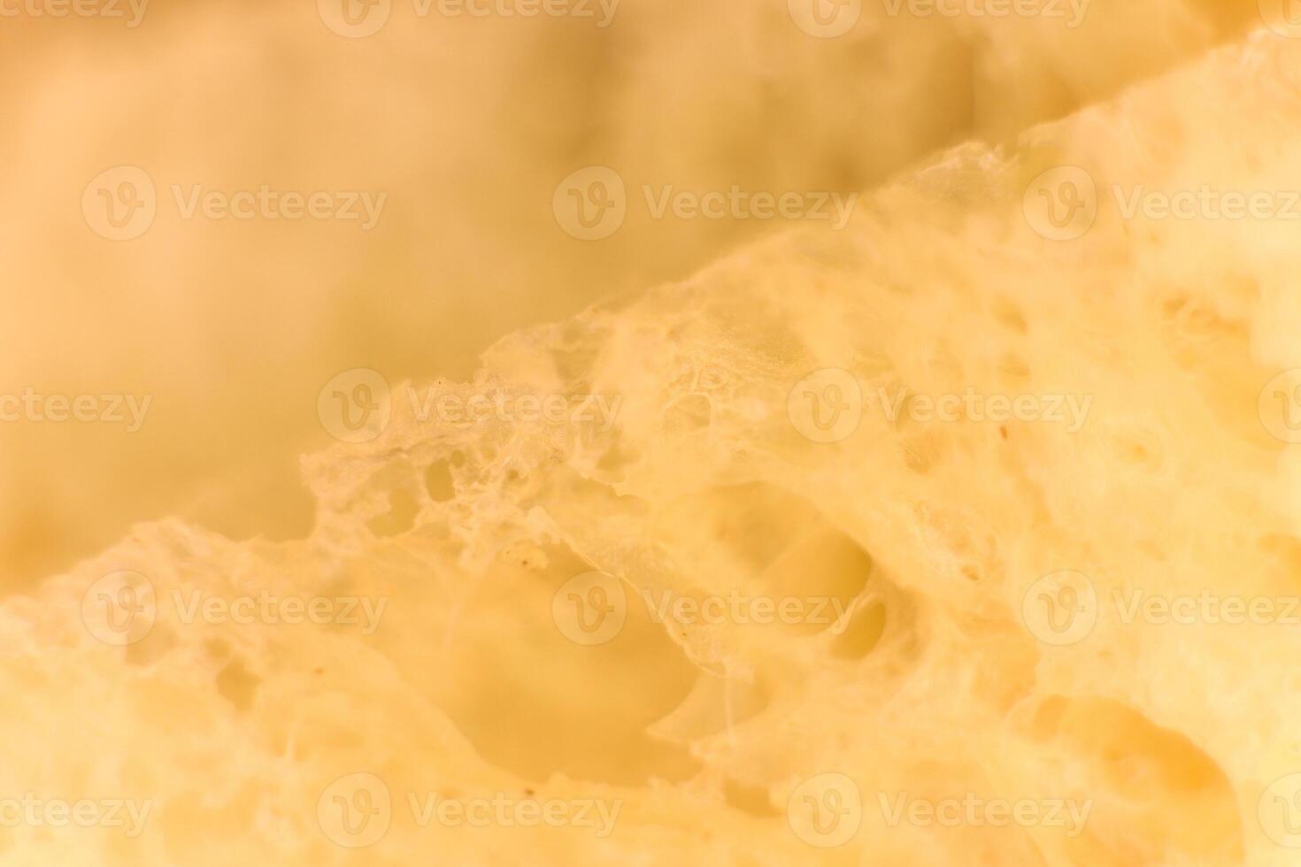 Pulp of bread macro closeup. Texture background. Slice section. photo