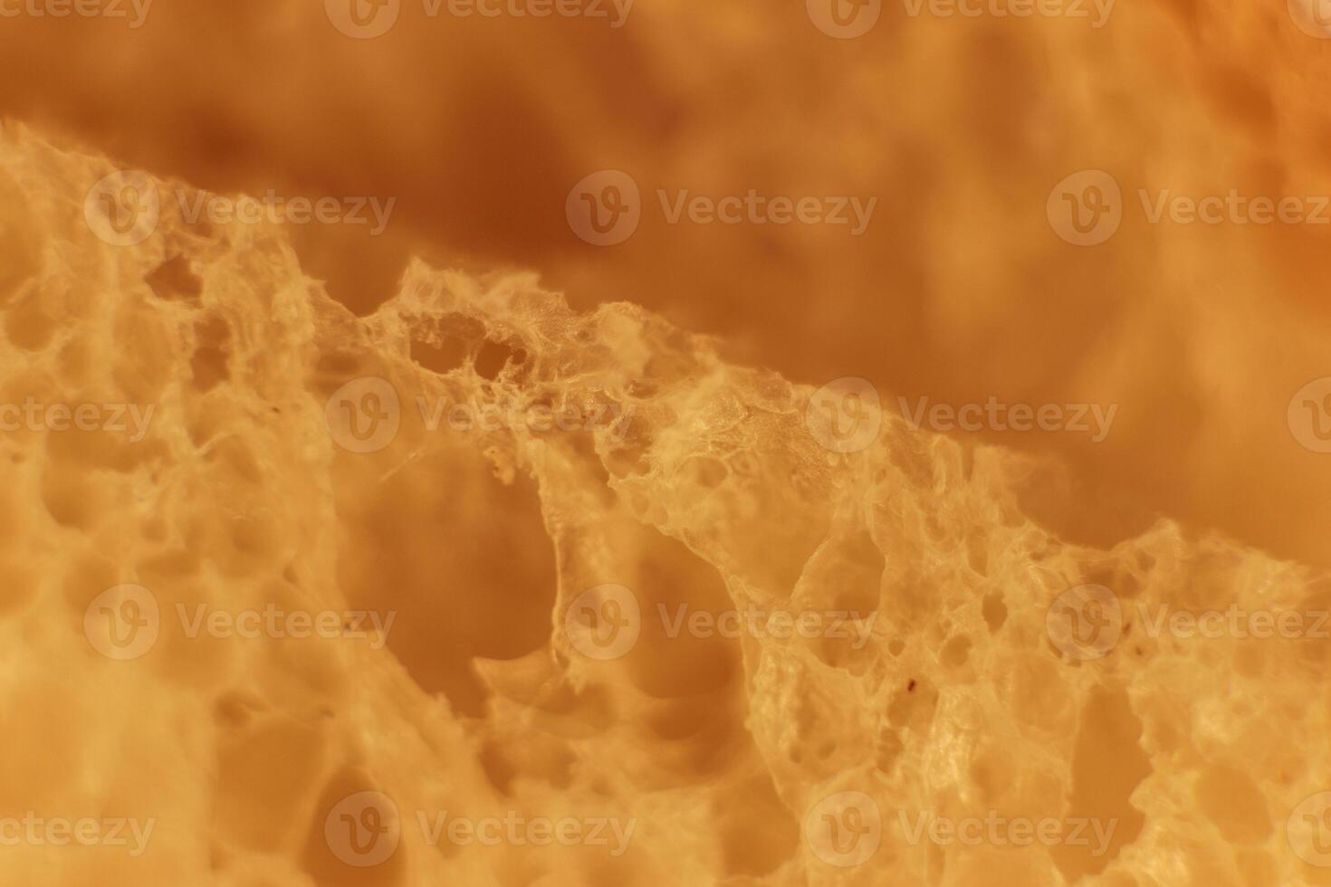 Pulp of bread slices macro closeup. Texture background. photo