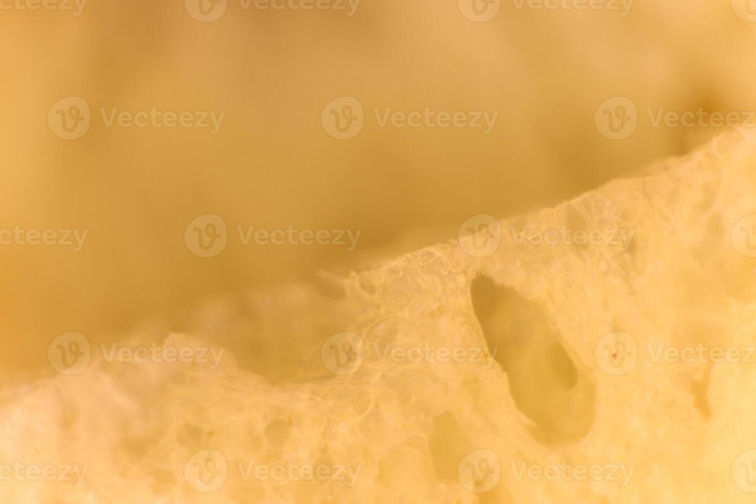 Pulp of bread macro closeup. Texture background. Slice section. photo