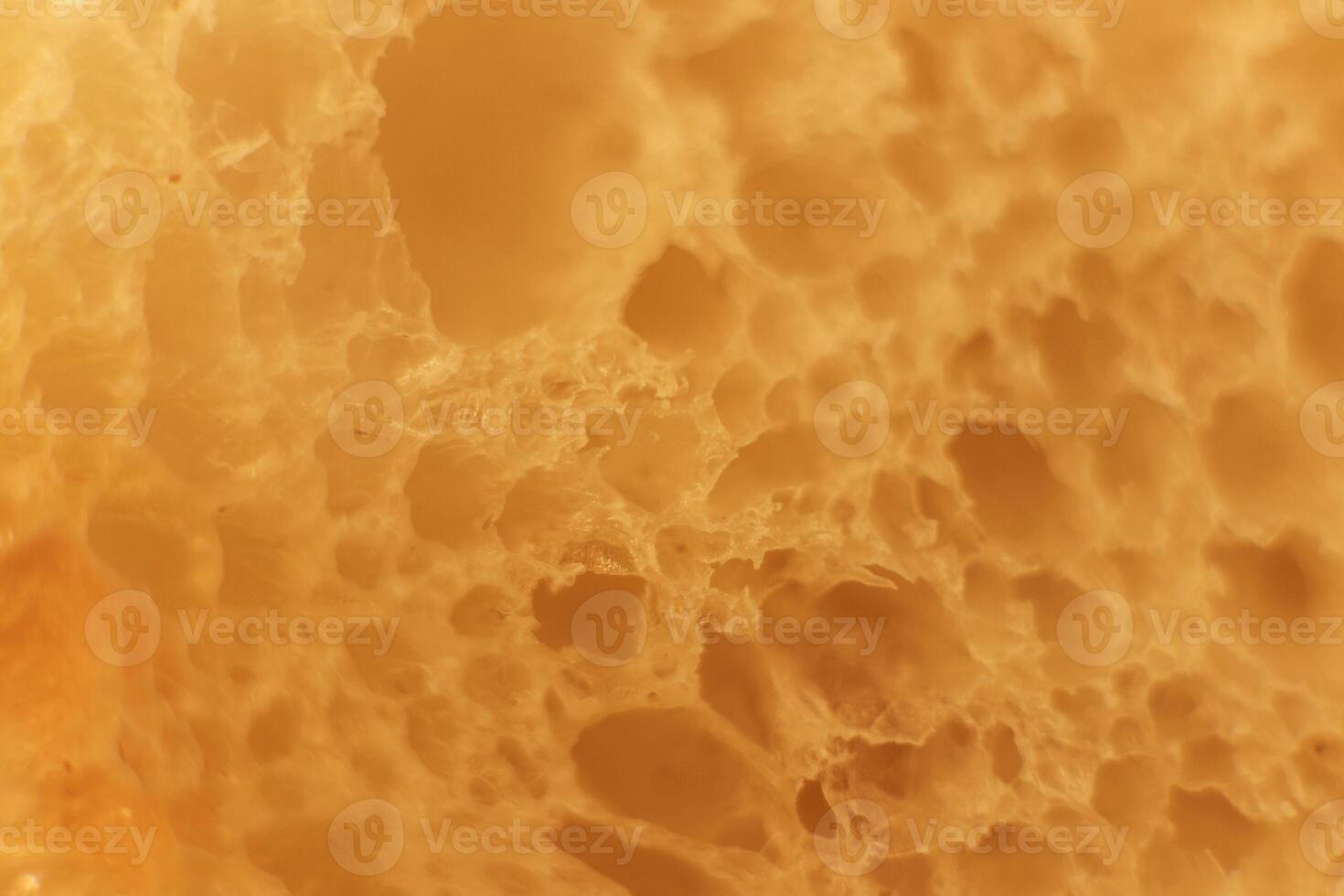 Pulp of bread macro closeup. Texture background. photo