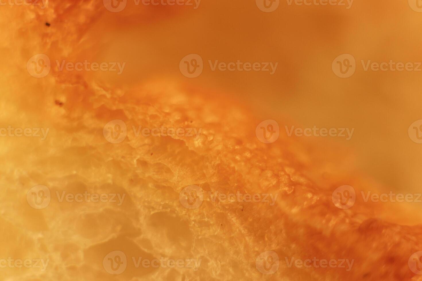Pulp of bread macro closeup. Texture background. Slice section. photo