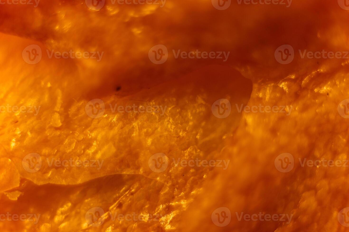 French baguette bread crustacean macro closeup. Texture backgrou photo