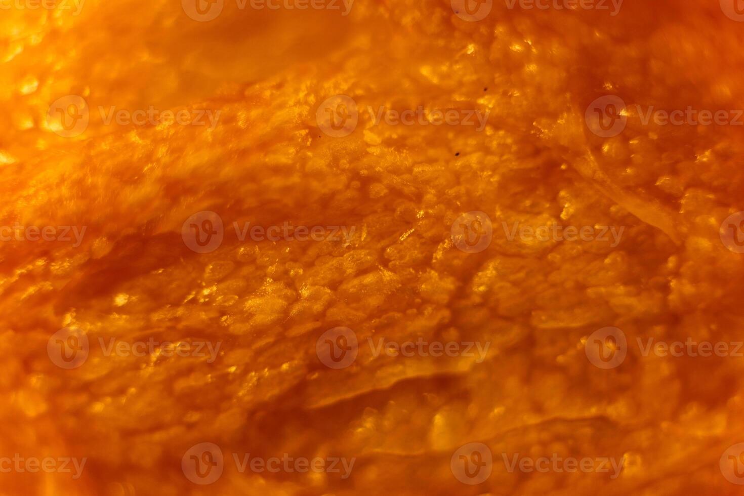 French baguette bread crustacean macro closeup. Texture backgrou photo