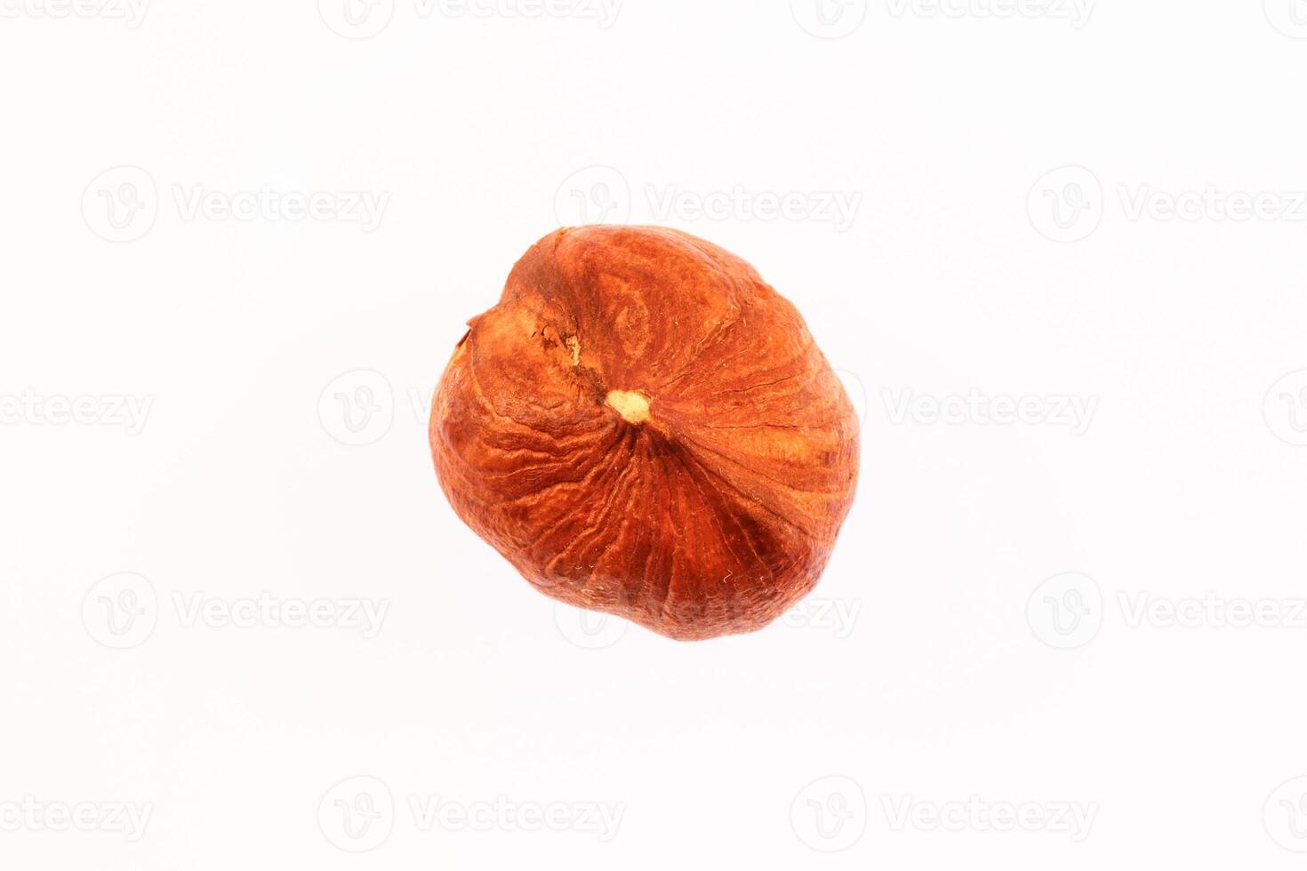 Isolated Hazelnut Nut Texture. Macro Closeup. Natural Organic Ba photo