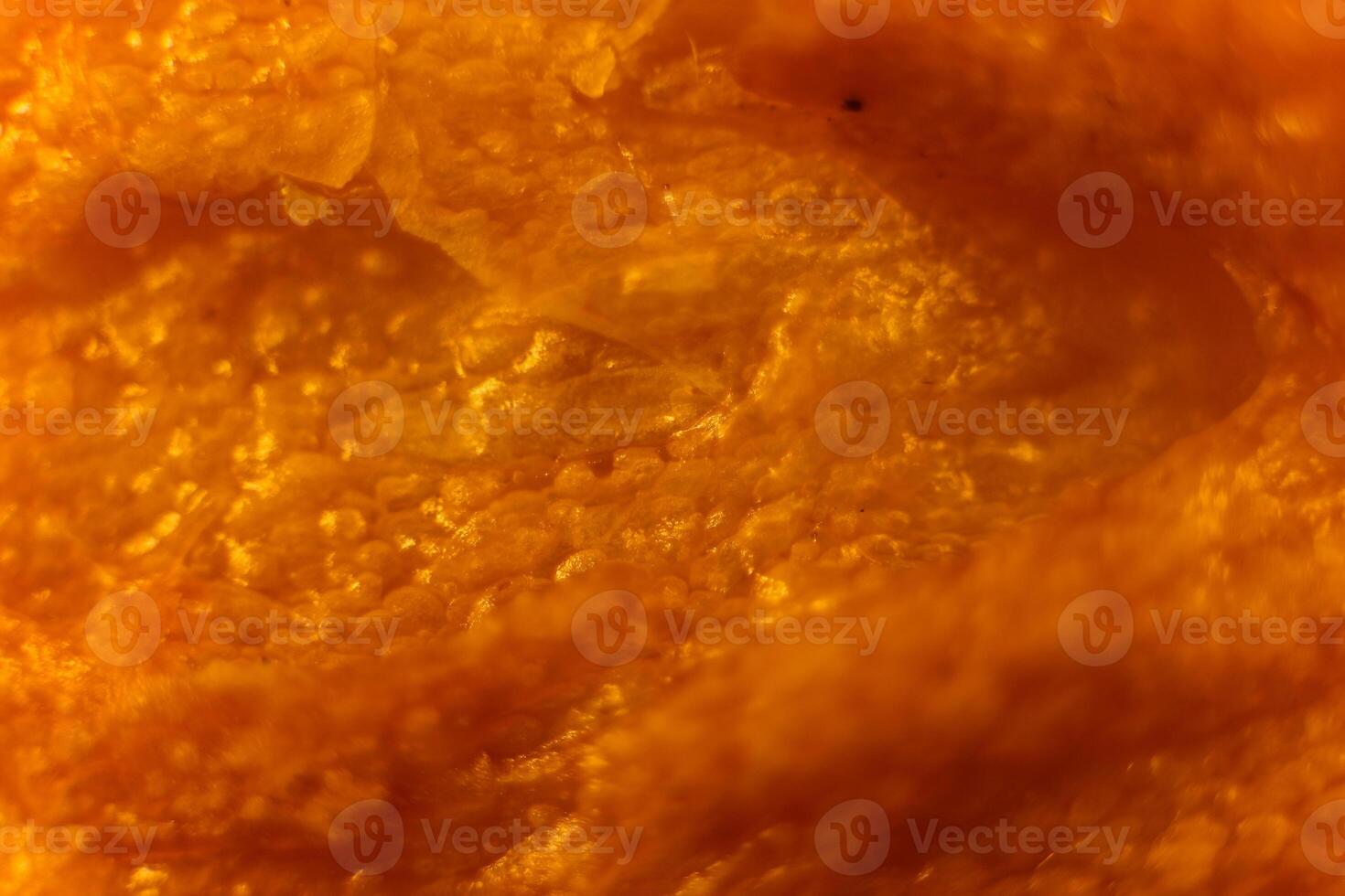 French baguette bread crustacean macro closeup. Texture backgrou photo