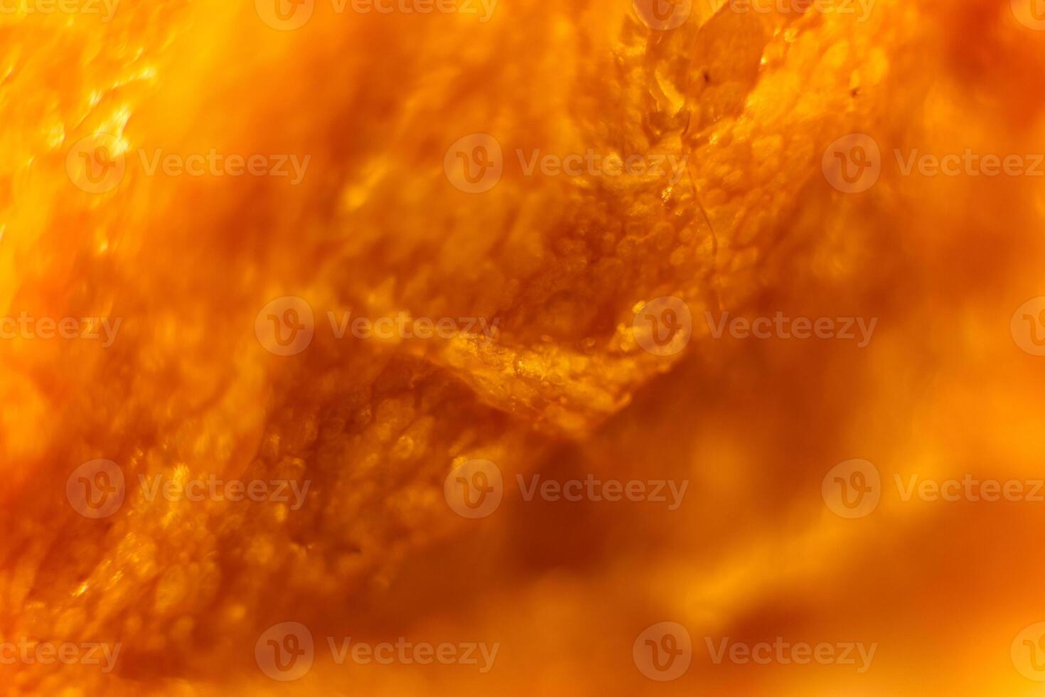 French baguette bread crustacean macro closeup. Texture backgrou photo