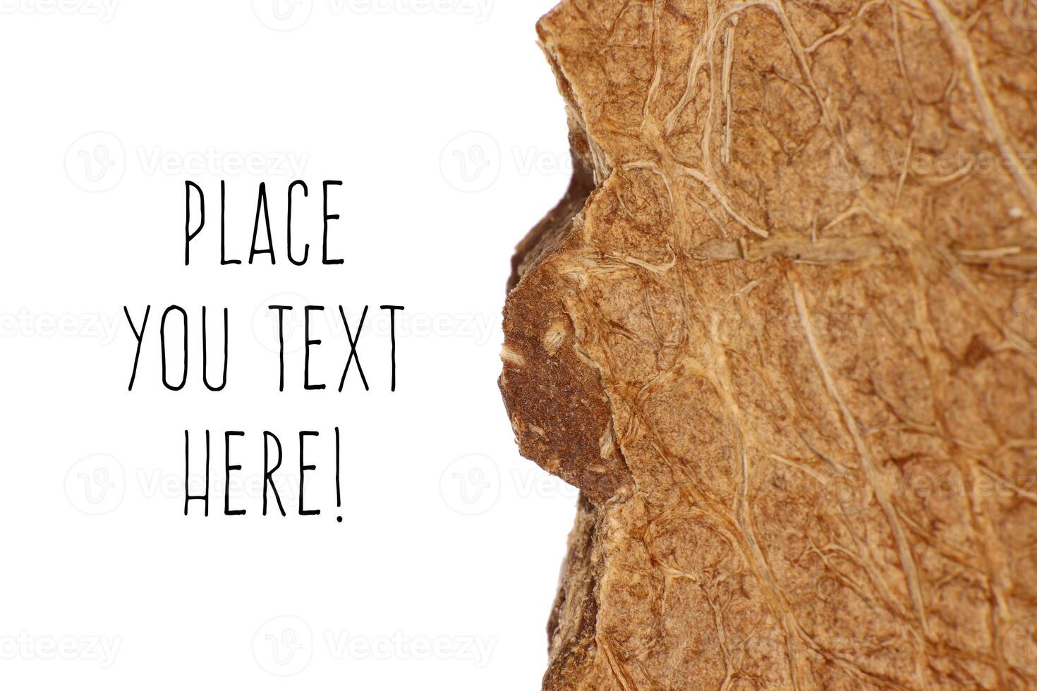 Coconut Nut Fibers Surface Texture. Natural Tropical Background. Place for Text. Macro Closeup. photo