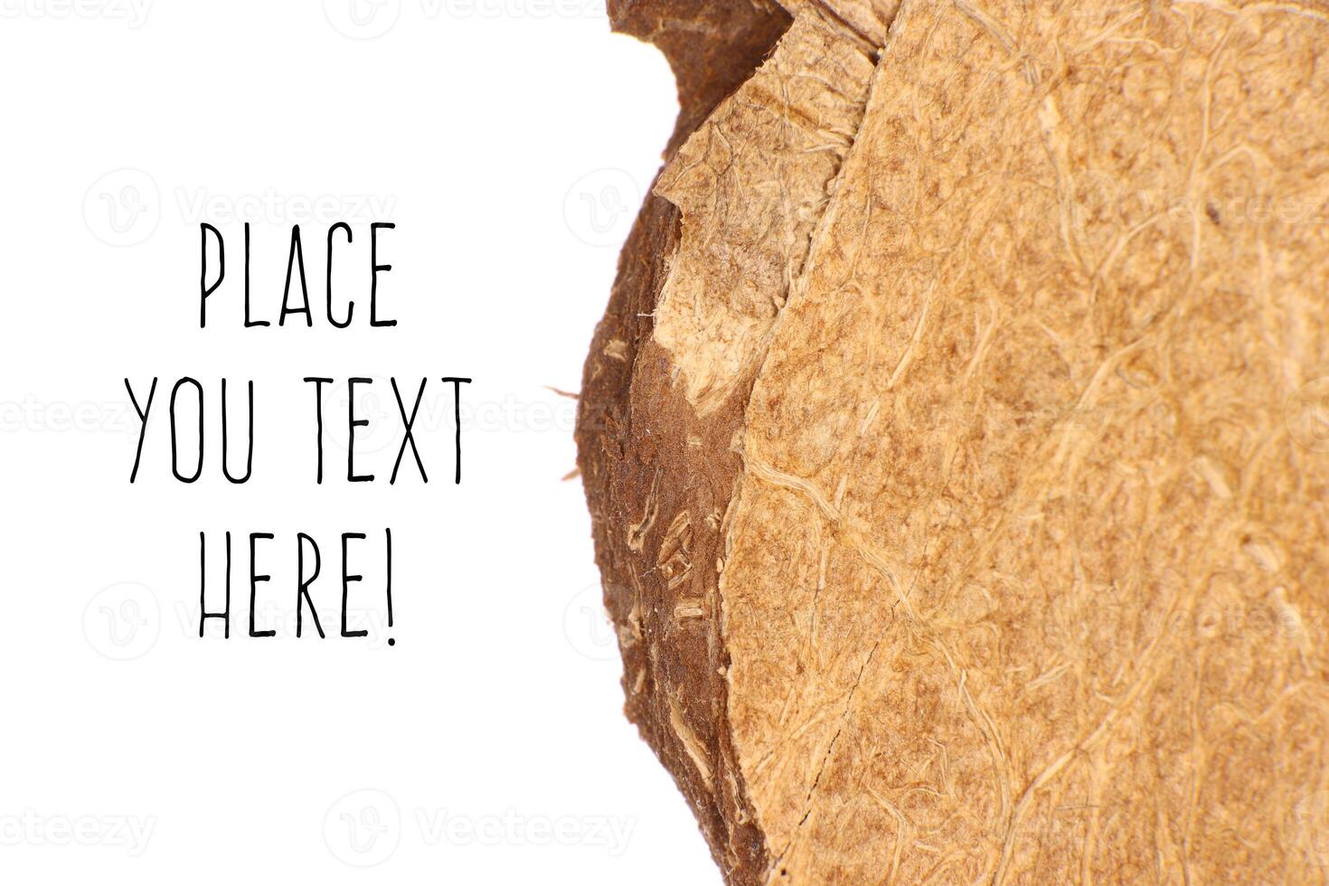 Coconut Nut Fibers Surface Texture. Natural Tropical Background. Place for Text. Macro Closeup. photo