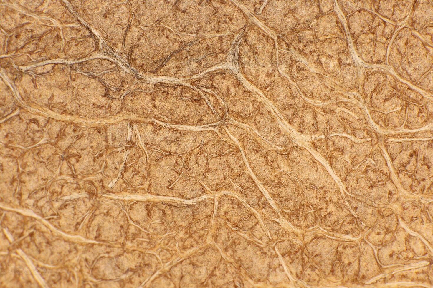 Coconut Nut Fibers Surface Texture. Natural Tropical Background. Macro Closeup. photo