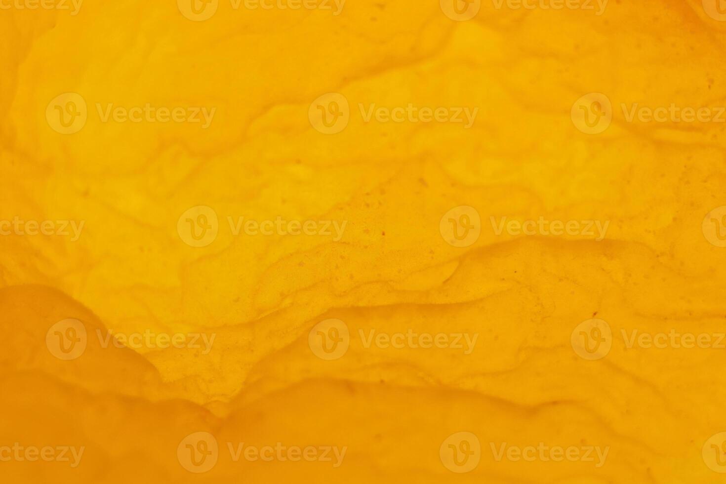 Dried Apricot Texture Surface. Warm Nature Organic Background. Macro Closeup. photo