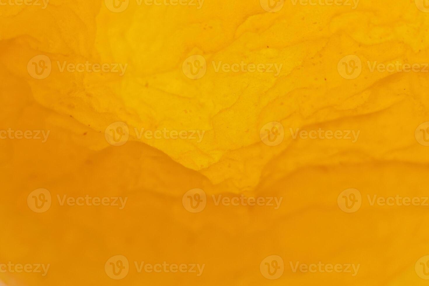 Dried Apricot Texture Shape. Warm Nature Organic Background. Macro Closeup. photo