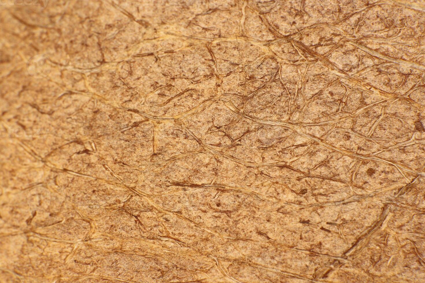 Coconut Nut Fibers Surface Texture. Natural Tropical Background. Macro Closeup. photo