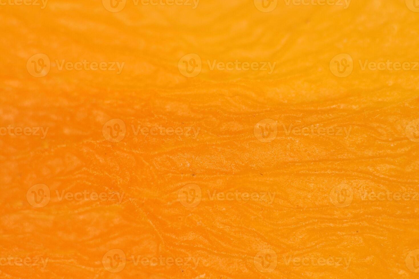 Dried Yellow Apricot Texture. Warm Nature Organic Background. Macro Closeup. photo