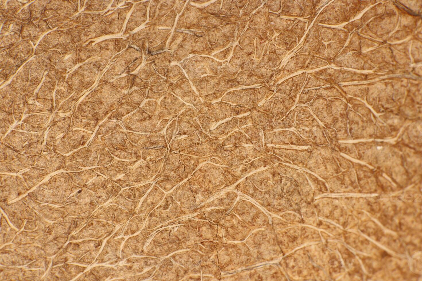 Coconut Nut Fibers Surface Texture. Natural Tropical Background. Macro Closeup. photo