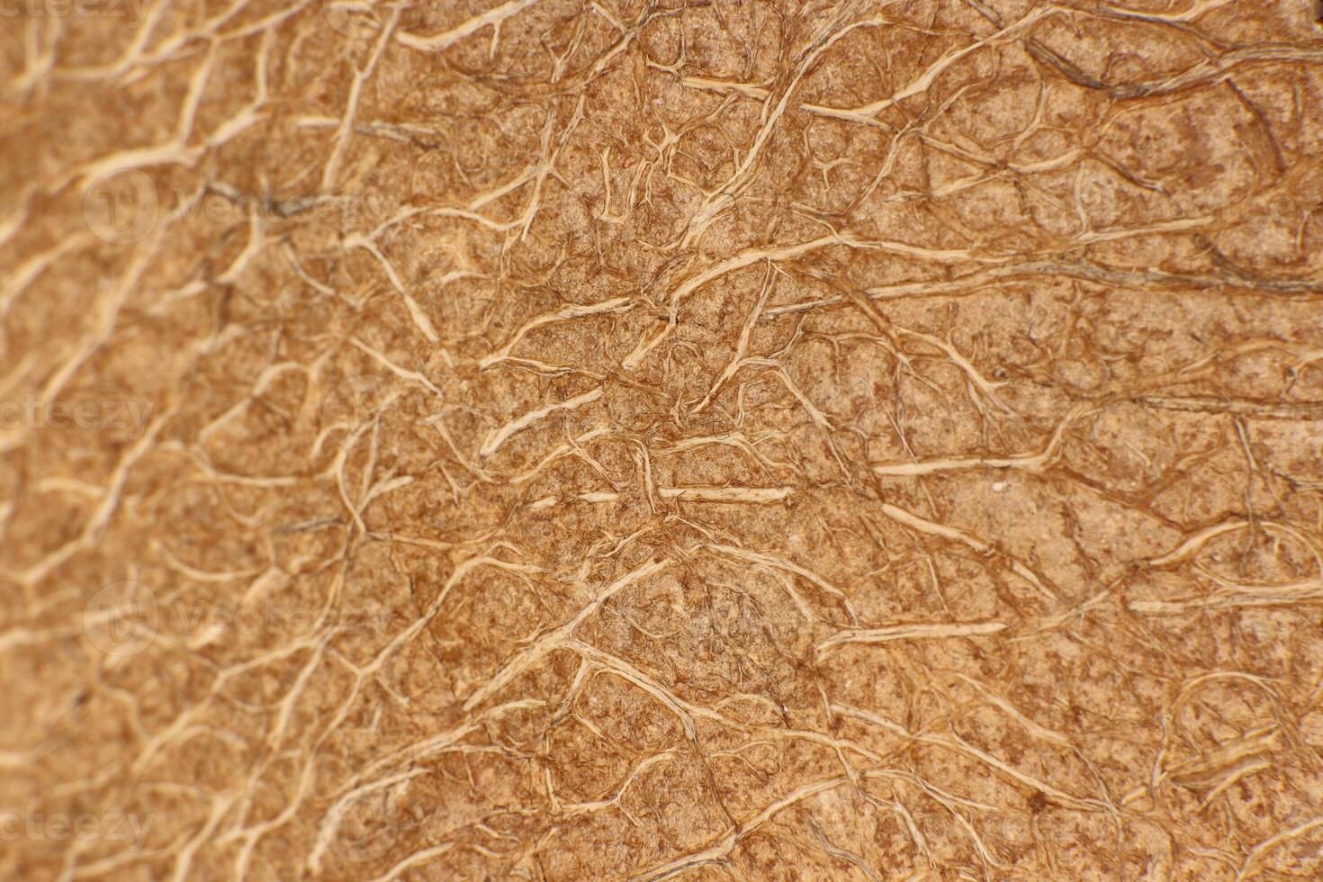 Coconut Nut Fibers Texture. Natural Tropical Background. Macro Closeup. photo