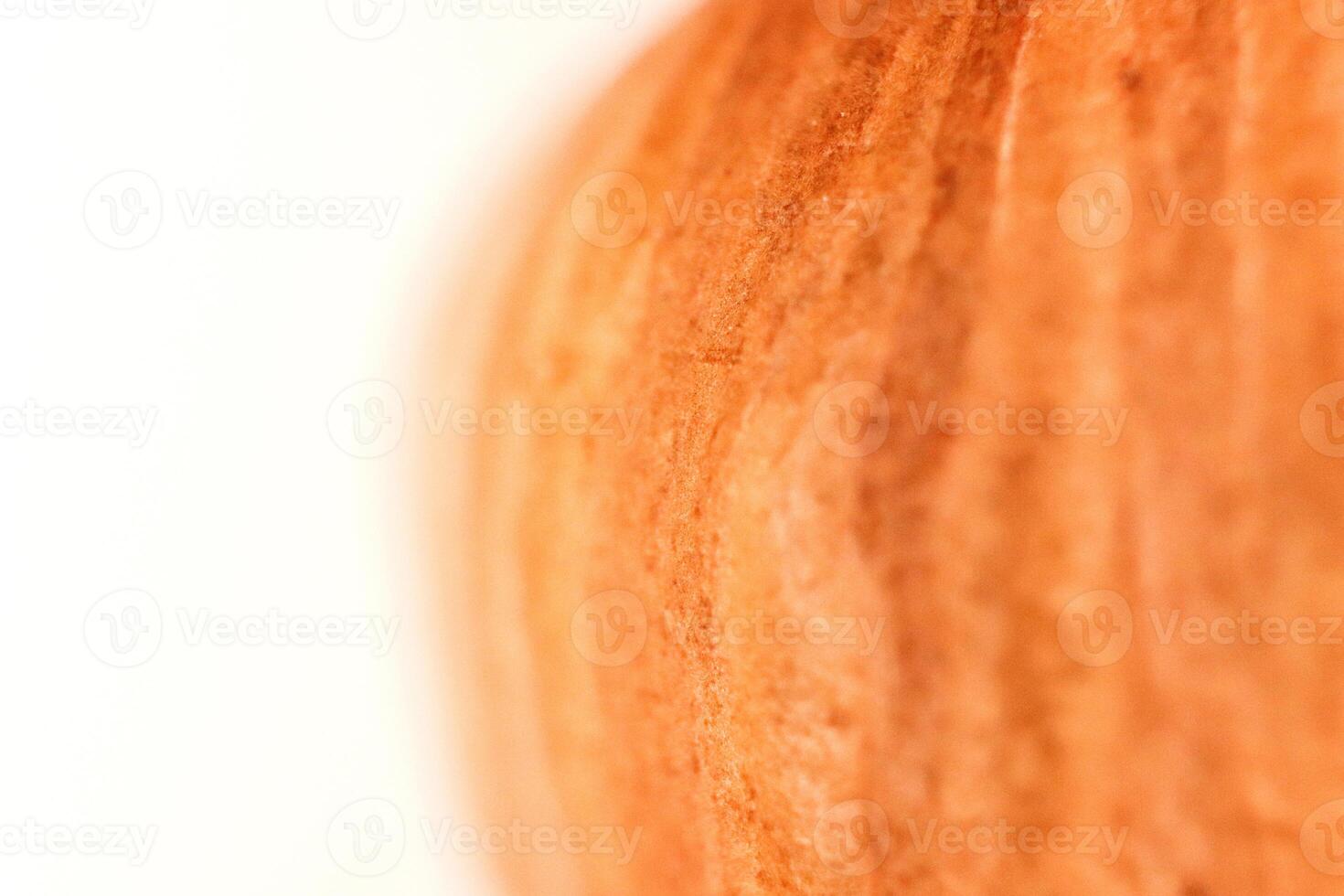 Forest Hazelnut Nut Texture. Macro Closeup. Natural Organic Back photo